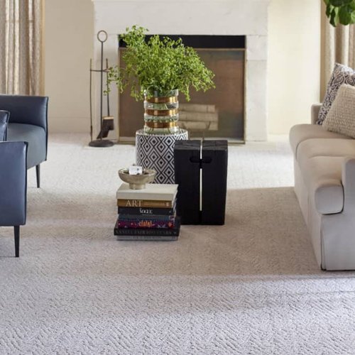 Living Room Pattern Carpet - Carpet Warehouse and COLORTILE in Coeur D'Alene, ID