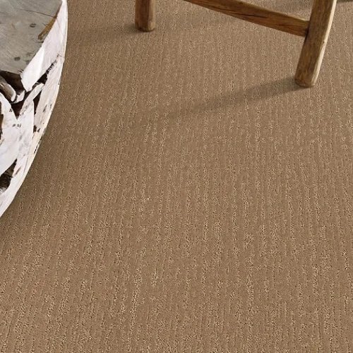 Modern carpet flooring info provided by Carpet Warehouse and COLORTILE  your local area flooring store